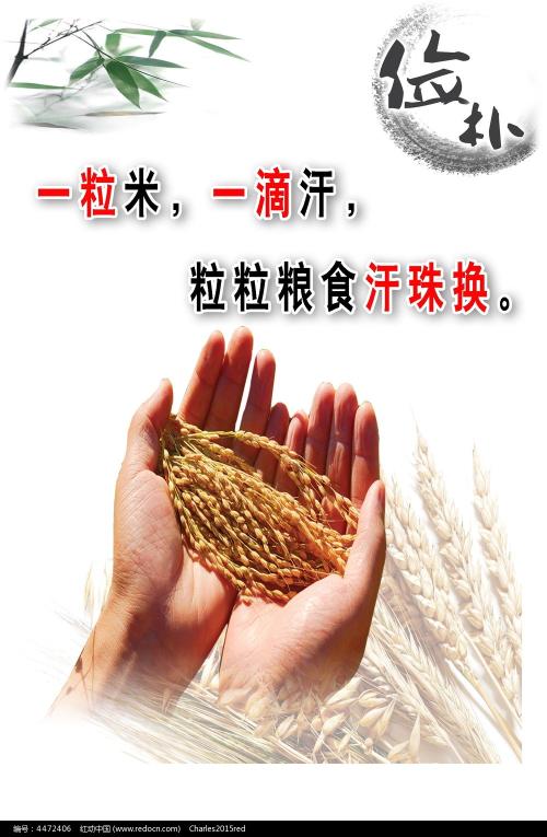 大阪成蹊大学 Science and technology diploma